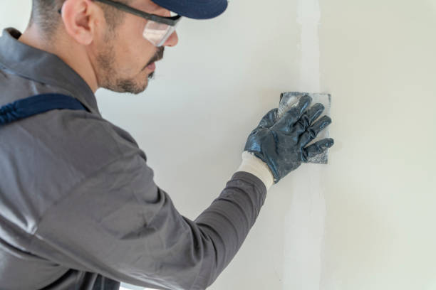 Best Air Quality Testing for Mold Spores  in Shenandoah Farms, VA