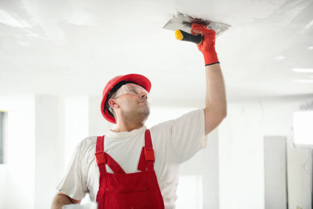 Mold Remediation for Rental Properties in Shenandoah Farms, VA