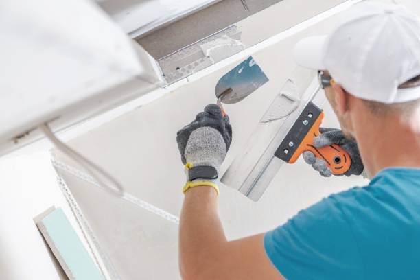 Best Mold Prevention Services  in Shenandoah Farms, VA